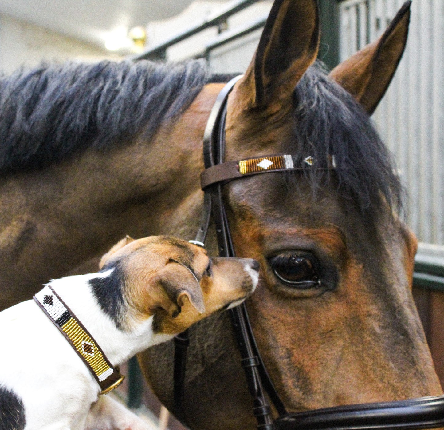 SIOUX - BROWBAND