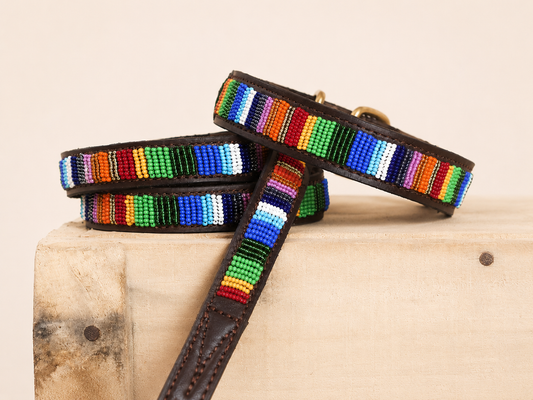 RIO beaded leather dog collar with bright rainbow Maasai stripes on wooden crate