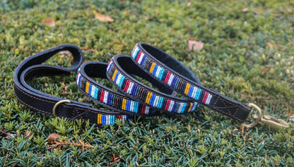 CORAL matching leash